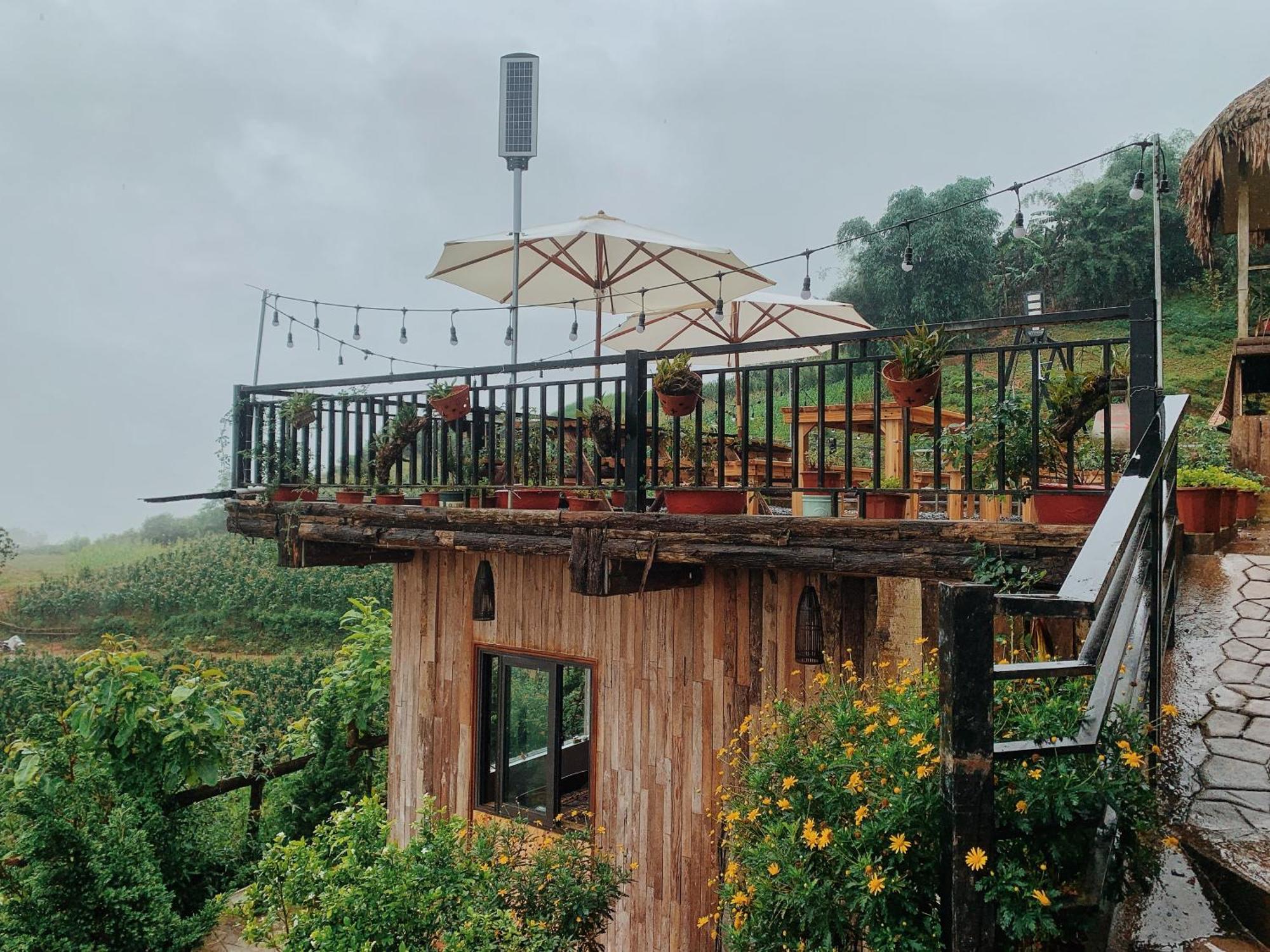 Bed and Breakfast La Rosa House Sa Pa Zewnętrze zdjęcie